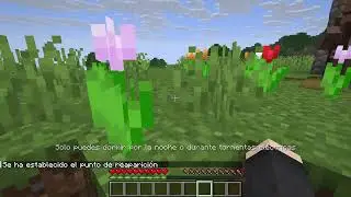 primera parte minecraft