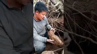 माघेसक्रातिको हाम्रो तयारी २०८२ सालको