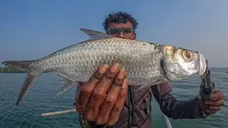 Tarpon hunting| ഇതിനെ പിടിക്കാൻ ഇത്ര പാടാണോ 😲| 2026| game fishing 