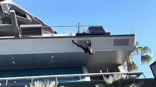 Black Widow Stunt Show at Avenger's Campus 🕷️ #avengerscampus #disney #marvel #avengers #shorts