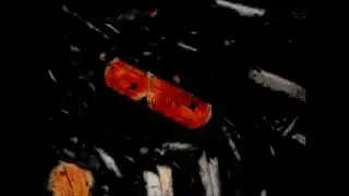 Parallel Extinction in Orthopyroxene in Thin Section