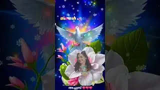 #shortvideo #love #utubeshorts ente samadhanam ❤️❤️❤️❤️❤️