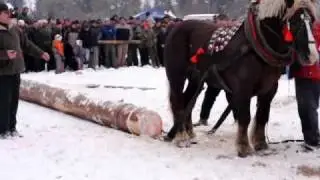 Furmanske preteky Novot.avi