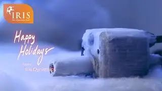 Happy Holidays from Iris Dynamics