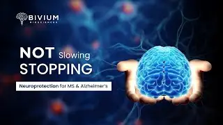 The Neuroscience Breakthrough That Could Change Everything