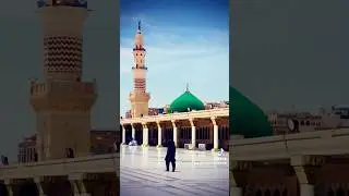 Na ban saki hai na ban sakay gi #shortvideos #madinaview #masjidnabawi #haramsharif #grow #love