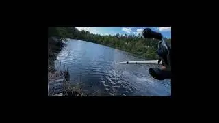 Season one intro #fishing #anime