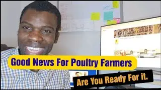 Good News For Poultry Farmers || Be Ready For it.