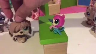 Super Talent, Talent Show (Comment Winner)