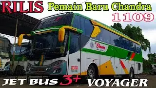 RILIS PEMAIN BARU BUS CHANDRA 1109 | SETELAH  LAMA MENUNGGU AHIRNYA SIAP MERAMAIKAN LINTAS SUMATERA