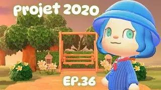 🚧🔨 On démarre enfin la décoration - PROJET 2020🏝️EP.36 - ACNH Switch 2