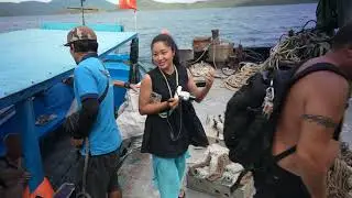 Tides of Renewal: Vietnam&rsquo;s Ocean Rebirth