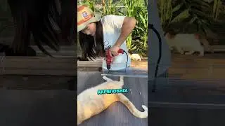 &laquo;Котики и Проливной Дождь&raquo; #cat #animals #shorts#youtubeshorts #youtube #животные #коты