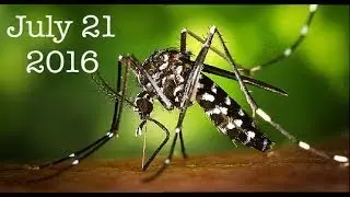 The Best Documentary Ever - Signs In The Heavens And On Earth: END TIMES SIGNS Bible Prophecy Pt.21