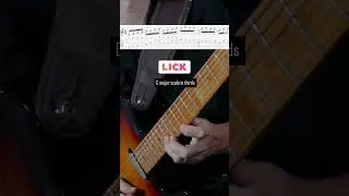 Eric Johnson great guitar lick