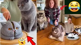 Funny Cat Reacts to Cutting Fake Cake! 😹🍰 | Funniest Cat Reactions Compilation #viral #cat