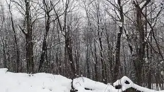 April 18 snow(1)