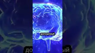 Колурацетам - яркий ноотроп