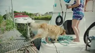 Snapshot of Cruising Belgium with your Furry Friend | Le Boat