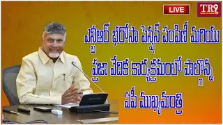 LIVE : CM of AP participates in the NTR Bharosa Pension Distribution || #tr9telugulivetv