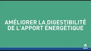&Eacute;mulsifiant nutritionel - Orffa Energy Plus