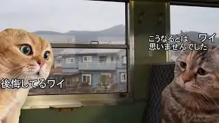 【猫ミーム】青春18きっぷを使った旅行をする鉄オタあるある