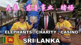 Elephants Charity Casino | 大象. 慈善事业. 赌场 - 斯里兰卡 | ORHPANAGE | CASINO MARINA  | COLOMBO | SRI LANKA