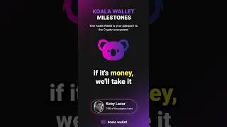 Koala Wallet 2024: A Year of Expansion, Providers, and Trading Upgrades!