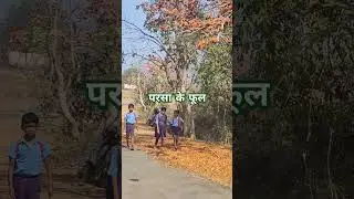 #chhattisgarh #school #government