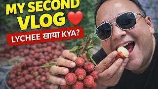 Litchi Khate Hue 😋 | Second Vlog | Food Vlog Hindi #trending 
