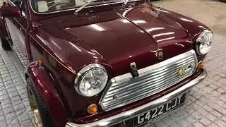 Mini 30th Anniversary Max Protect