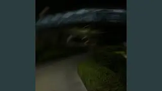 Zoom Zoom
