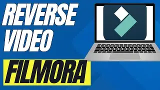 How To Reverse A Video In Filmora 14 (Full Guide)