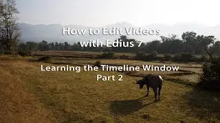 How to Edit Videos with Edius 7- Lesson 16: Learning the Timeline Window - Part 2