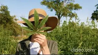 Leaf Lab Pro CBD Oil For Sale & Buy CBD Oil (USA)