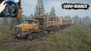 International Paystar 5600TS и два прицепа бревен | SnowRunner | Logitech G29