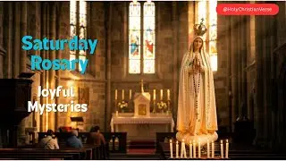 Daily Rosary Jan.24 | Joyful Mysteries #rosary #mary