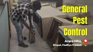 General Pest Control in an Office at Arera Hills, Bhopal | Perfect Pest Control - PPC