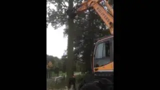 Hyundai R180W-9A aan het werk bij Kuijpers Boomrooi bedrijf