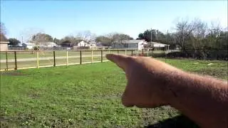 Lawn Care pt.8 (Winter) (Aerate, Overseed, Fertilize)