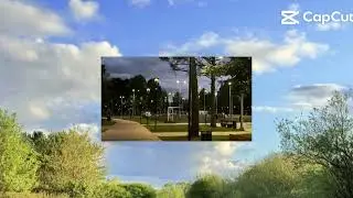 Vida sin telefono