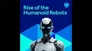 Rise of the humanoid robots