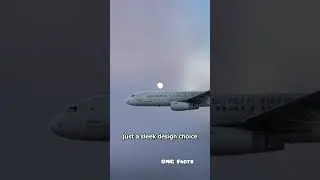 #plane #facts #tamil #omg facts #amazing #funny #fun #food #cooking #vlog