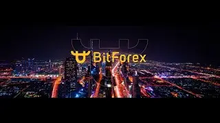 BitForex - заработок без вложений 2019!Заработает даже школьник!