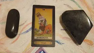 Shield and Armor of The Most High. Divine Interaction Reading for The Collective of The Most High
