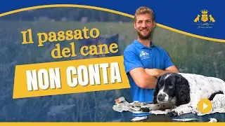 Il Mio Cane È Aggressivo per un Trauma? NO, e Ti Spiego Perché!