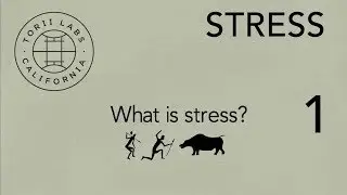 What is stress? Stress Definition - Torii Labs - Plant Medicine Company - Herbal Elixirs