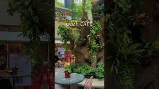 Visited the beautiful Garden Cafe at Lavelle Road, the ambience is to die for!