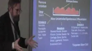 Adult vs. Embryonic Stem Cells, Dr. Henry Young  Politics and Policy Course, Dr. Michael Dean part 1