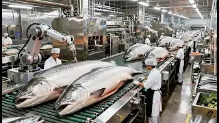 Inside the Modern China desert salmon-farming factory ( Full Process )